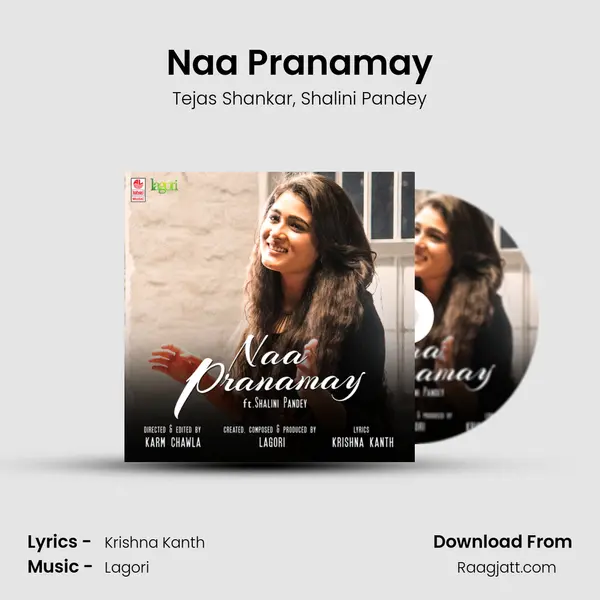 Naa Pranamay mp3 song