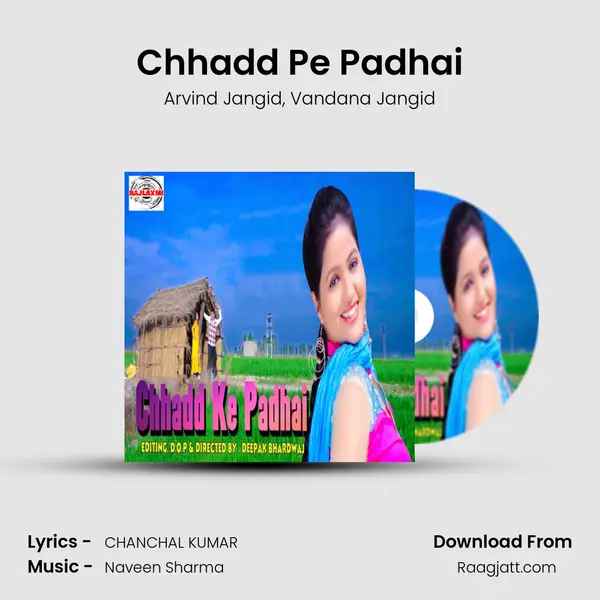 Chhadd Pe Padhai - Arvind Jangid album cover 