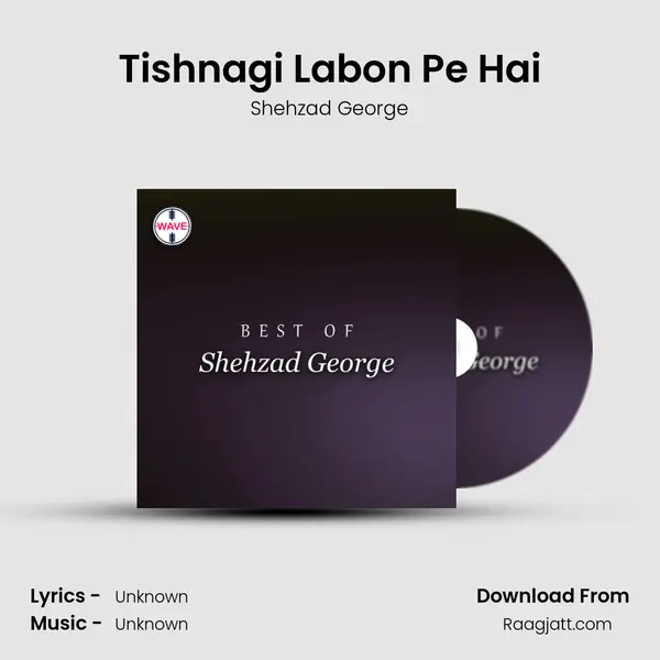 Tishnagi Labon Pe Hai mp3 song