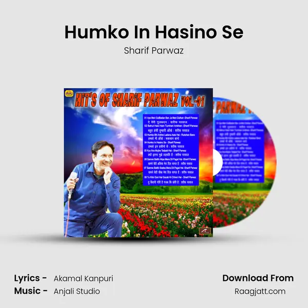 Humko In Hasino Se mp3 song