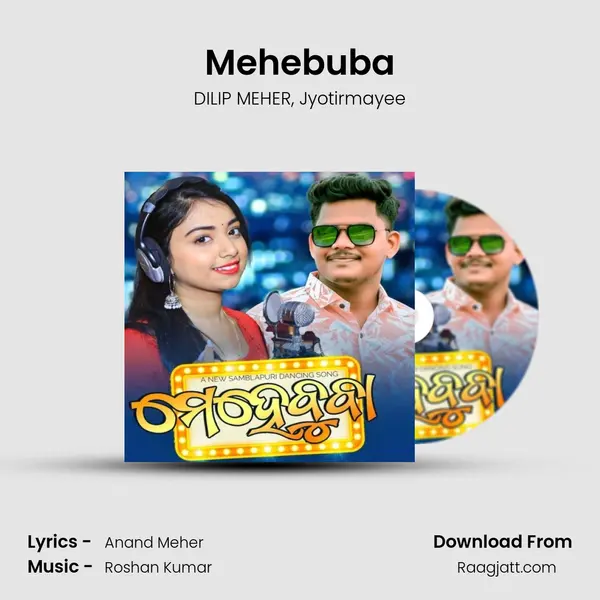 Mehebuba - DILIP MEHER album cover 