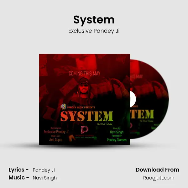 System - Exclusive Pandey Ji album cover 