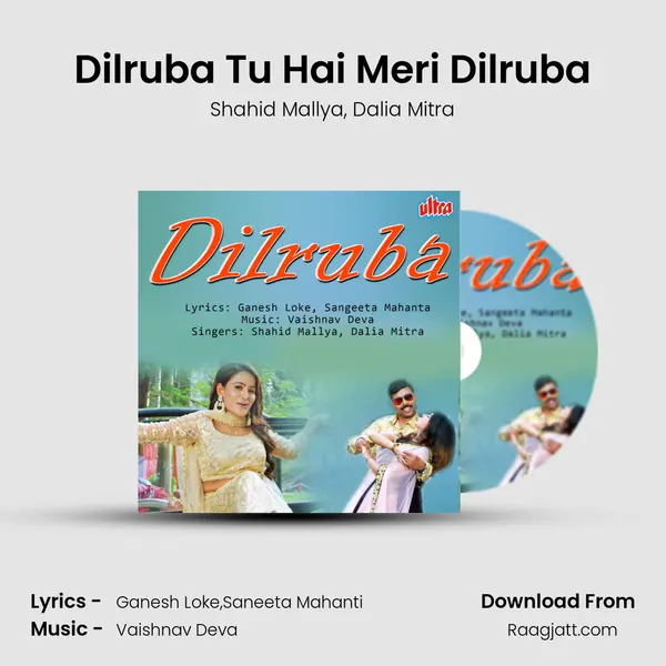 Dilruba Tu Hai Meri Dilruba - Shahid Mallya album cover 