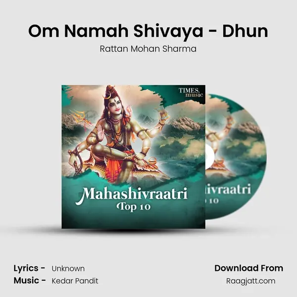 Om Namah Shivaya - Dhun mp3 song