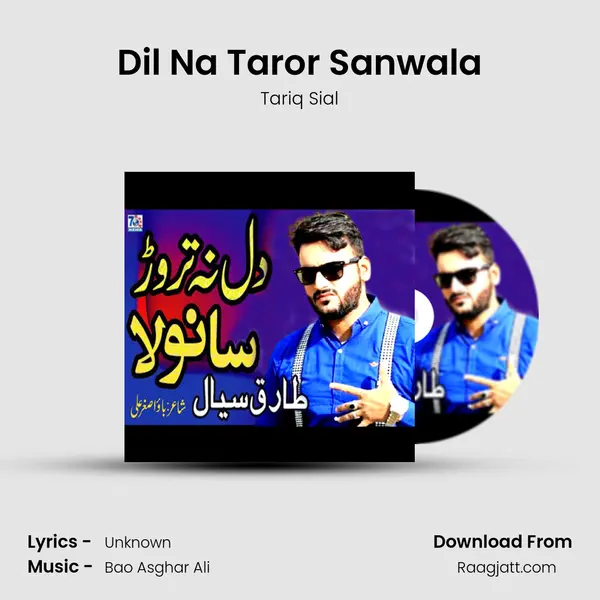 Dil Na Taror Sanwala mp3 song