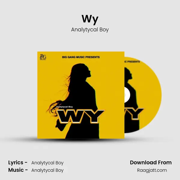 Wy - Analytycal Boy album cover 