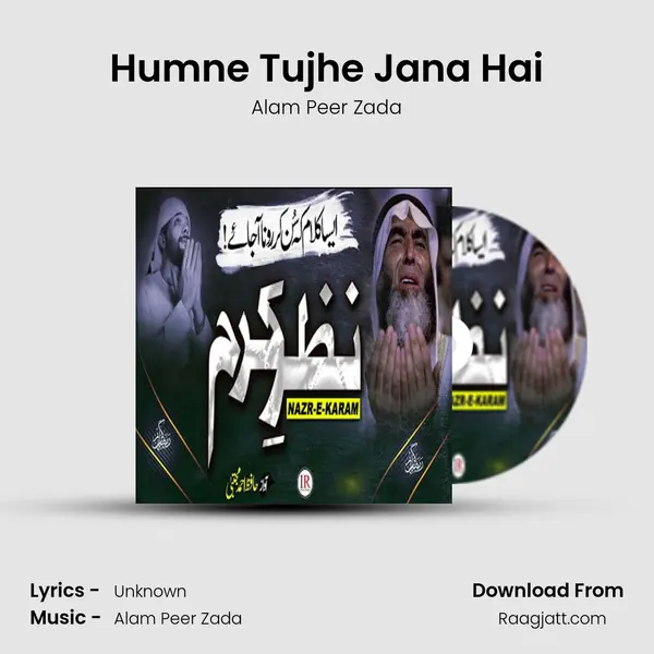 Humne Tujhe Jana Hai - Alam Peer Zada album cover 