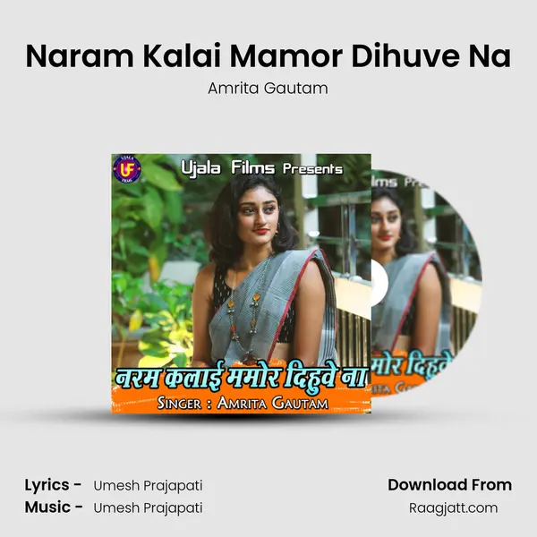 Naram Kalai Mamor Dihuve Na - Amrita Gautam album cover 