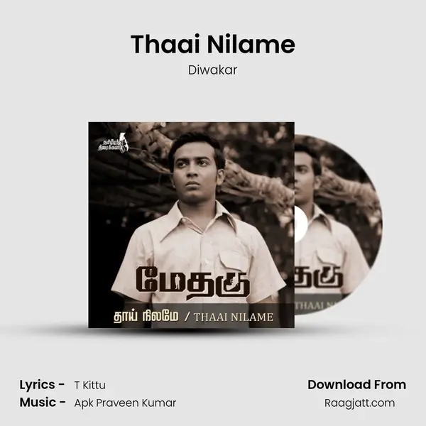 Thaai Nilame - Diwakar album cover 