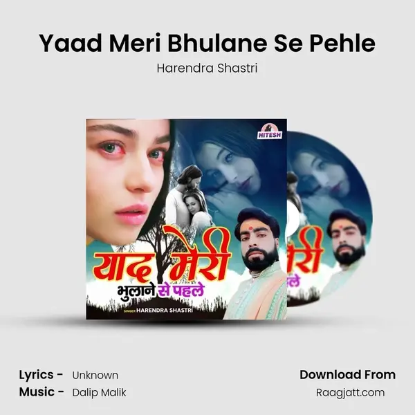 Yaad Meri Bhulane Se Pehle - Harendra Shastri album cover 