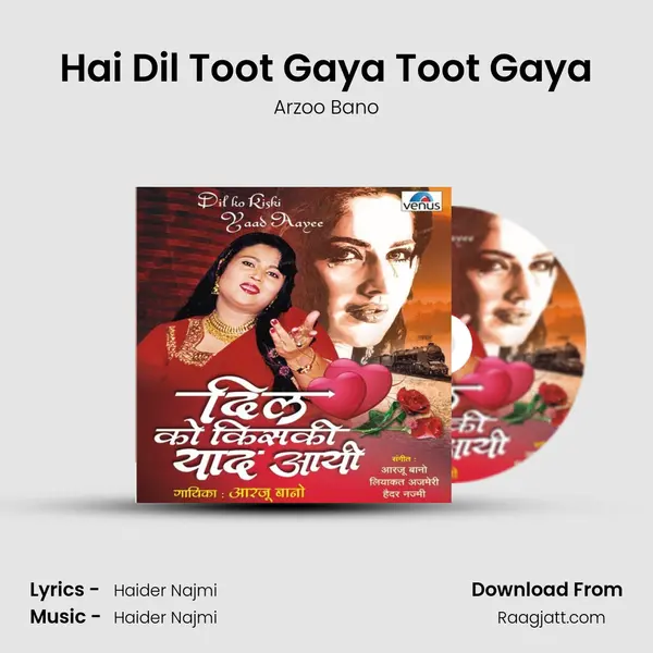 Hai Dil Toot Gaya Toot Gaya - Arzoo Bano album cover 