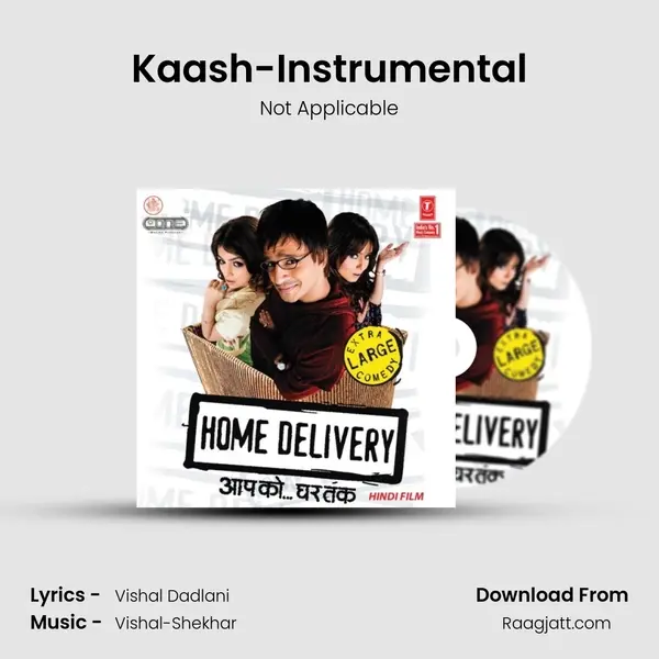 Kaash-Instrumental - Not Applicable album cover 