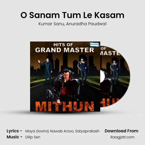 O Sanam Tum Le Kasam mp3 song