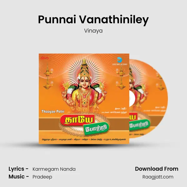 Punnai Vanathiniley mp3 song