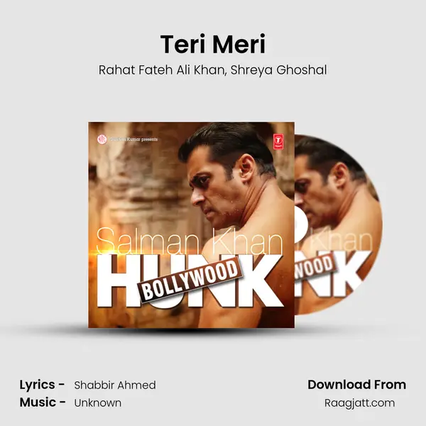 Teri Meri - Rahat Fateh Ali Khan album cover 