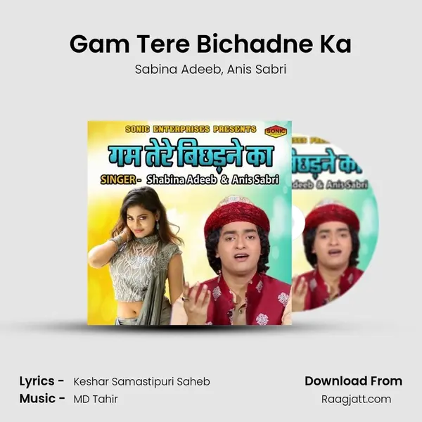 Gam Tere Bichadne Ka mp3 song