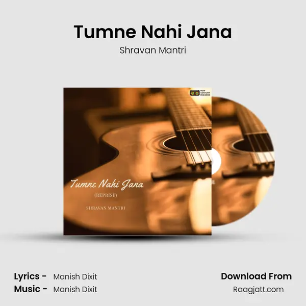 Tumne Nahi Jana - Shravan Mantri album cover 