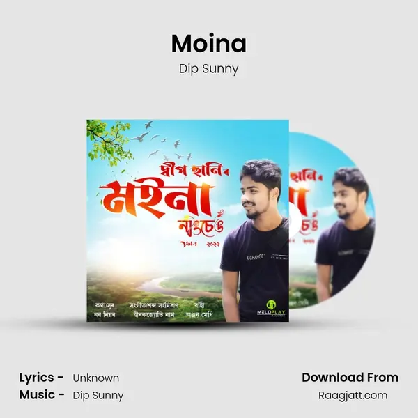 Moina - Dip Sunny album cover 