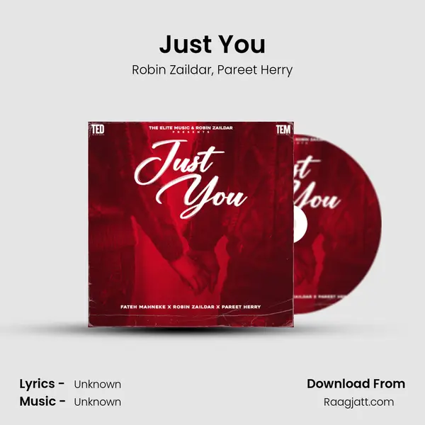 Just You - Robin Zaildar album cover 