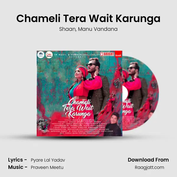 Chameli Tera Wait Karunga - Shaan mp3 song