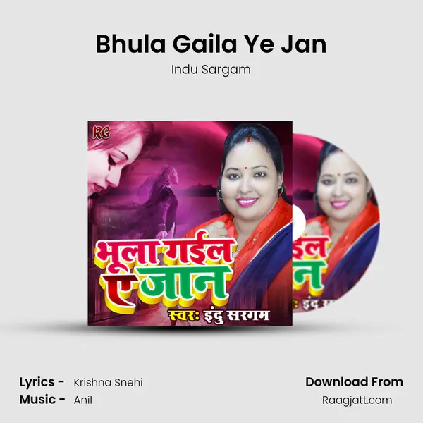 Bhula Gaila Ye Jan mp3 song