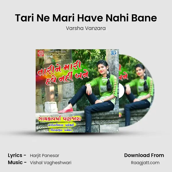 Tari Ne Mari Have Nahi Bane - Varsha Vanzara album cover 