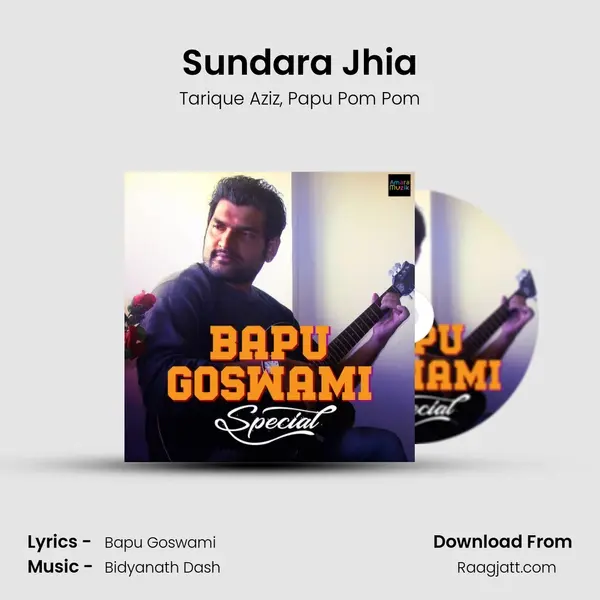 Sundara Jhia - Tarique Aziz album cover 