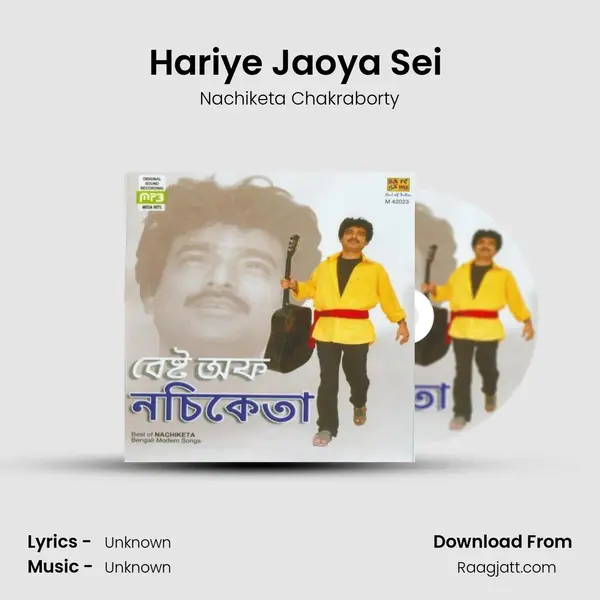 Hariye Jaoya Sei (Live) - Nachiketa Chakraborty album cover 