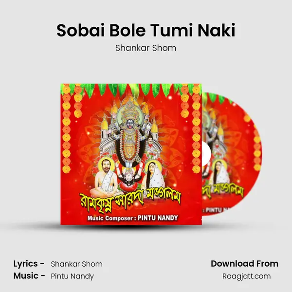 Sobai Bole Tumi Naki - Shankar Shom album cover 