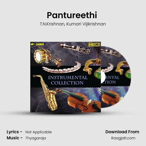 Pantureethi (Violin) mp3 song