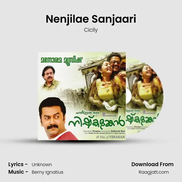 Nenjilae Sanjaari mp3 song