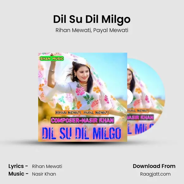 Dil Su Dil Milgo - Rihan Mewati album cover 