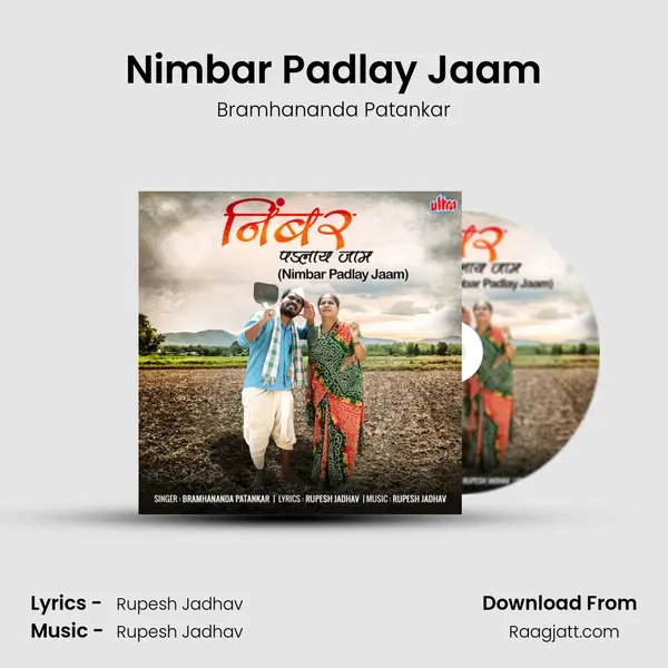 Nimbar Padlay Jaam - Bramhananda Patankar album cover 