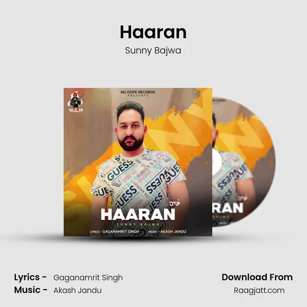 Haaran - Sunny Bajwa album cover 