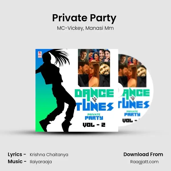 Private Party (From Sarrainodu) mp3 song