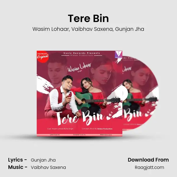 Tere Bin - Wasim Lohaar album cover 