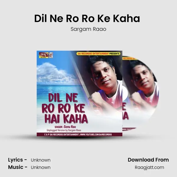 Dil Ne Ro Ro Ke Kaha (Unplugged) - Sargam Raao album cover 