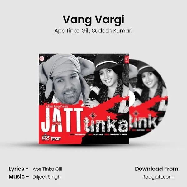 Vang Vargi - Aps Tinka Gill album cover 