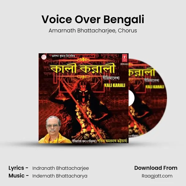 Voice Over Bengali - Amarnath Bhattacharjee album cover 