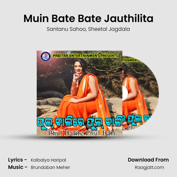 Muin Bate Bate Jauthilita - Santanu Sahoo album cover 