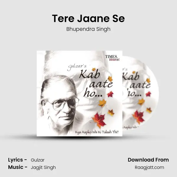 Tere Jaane Se mp3 song