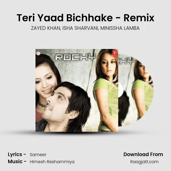 Teri Yaad Bichhake - Remix - ZAYED KHAN album cover 