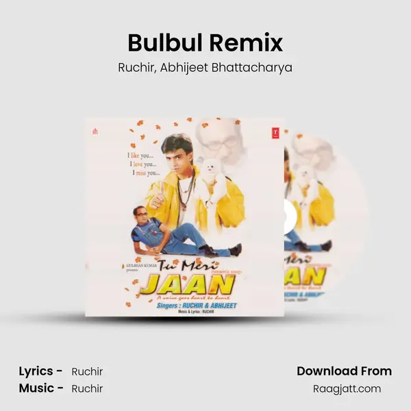 Bulbul Remix - Ruchir album cover 