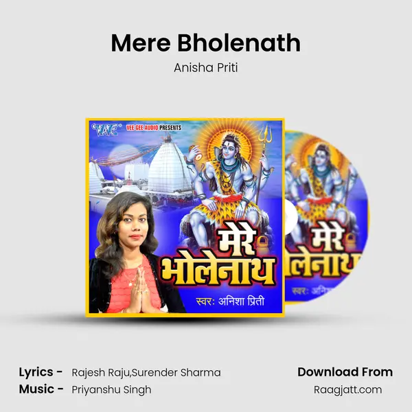 Mere Bholenath - Anisha Priti album cover 