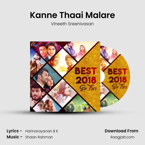 Kanne Thaai Malare - Vineeth Sreenivasan album cover 