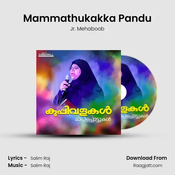 Mammathukakka Pandu - Jr. Mehaboob album cover 