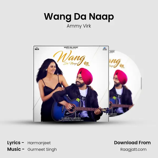 Wang Da Naap - Ammy Virk album cover 