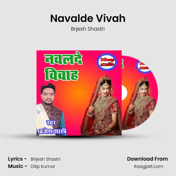 Navalde Vivah - Brjesh Shastri album cover 