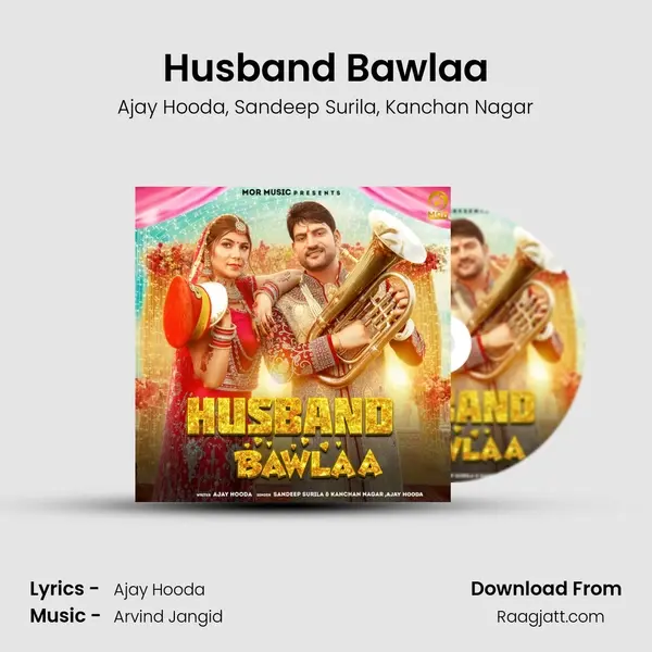 Husband Bawlaa - Ajay Hooda album cover 