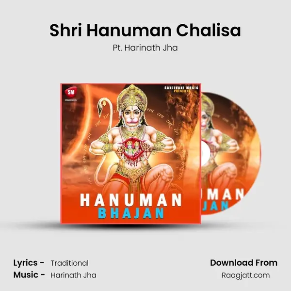 Shri Hanuman Chalisa - Pt. Harinath Jha album cover 